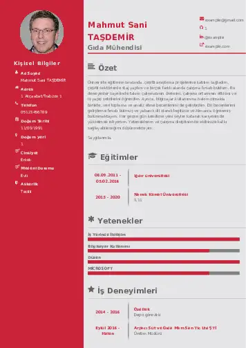 Gıda Mühendisi CV Örnekleri cv indir